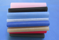 大成镇涤纶（PET）无纺布是什么